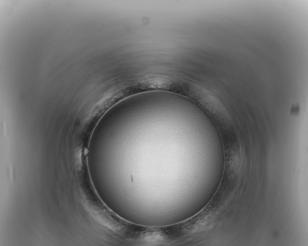 X0000089370262200706221227