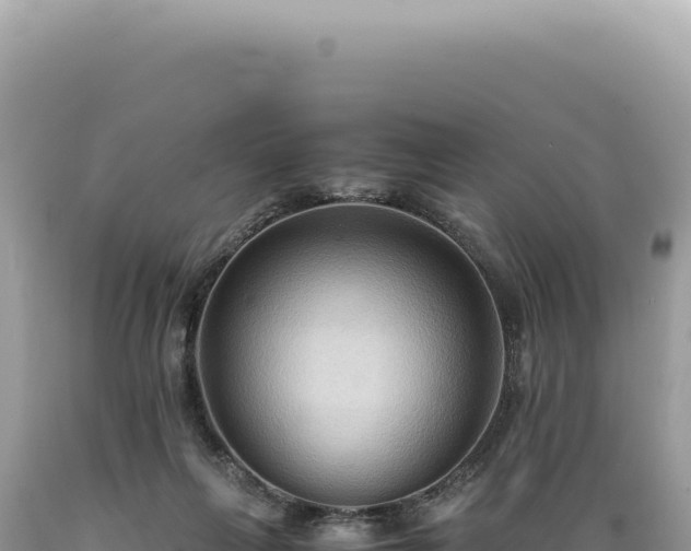X0000089370263200706221227