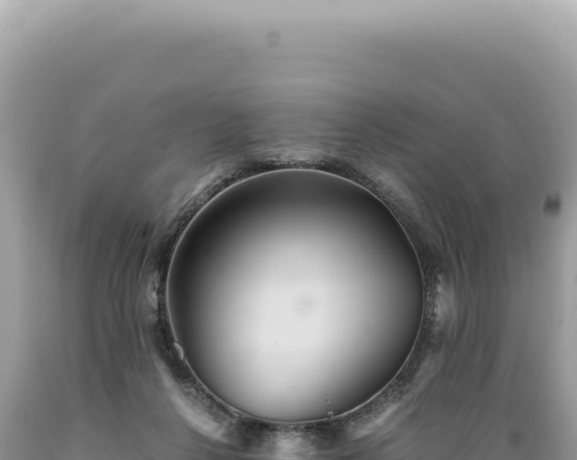 X0000089370264200706221227