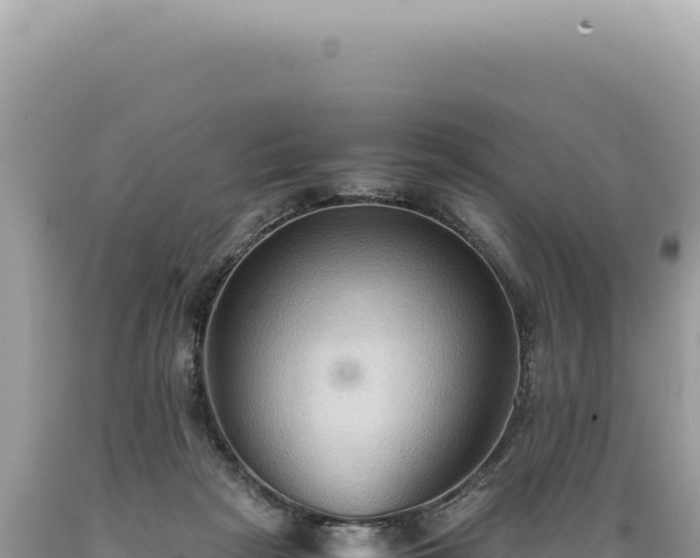X0000089370265200706221227