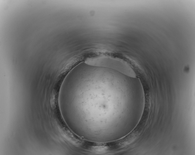 X0000089370266200706221227