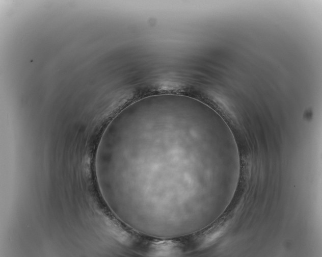 X0000089370269200706221227