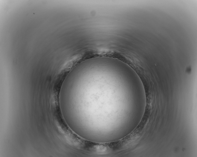 X0000089370272200706221227