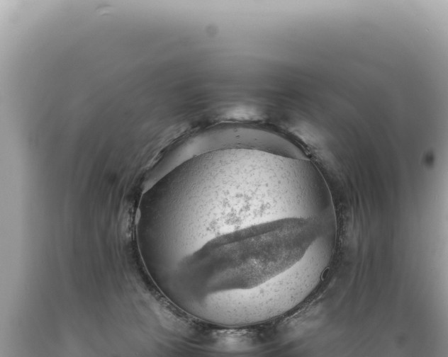 X0000089370273200706221227