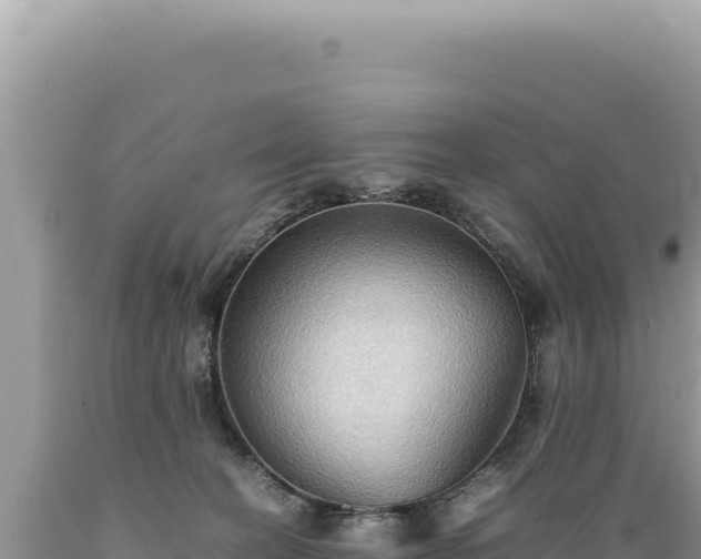 X0000089370274200706221227