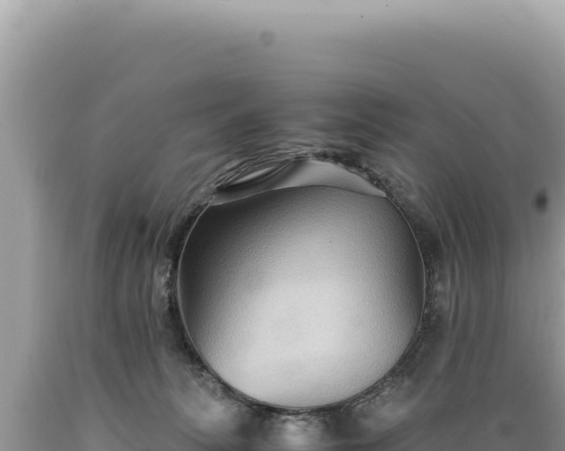 X0000089370275200706221227