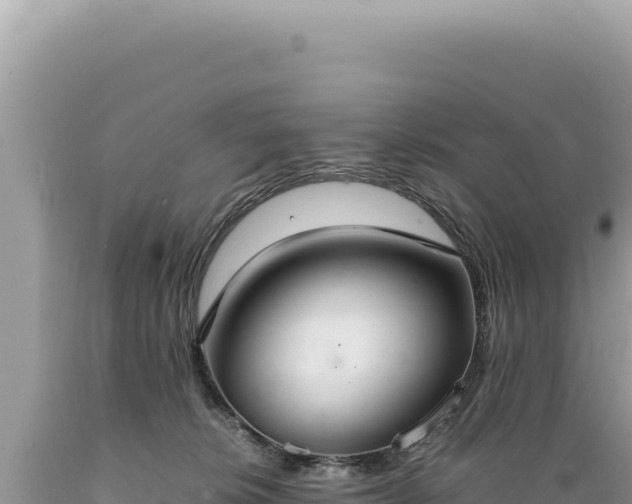 X0000089370276200706221227
