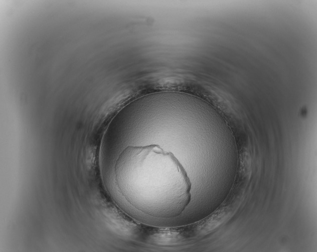 X0000089370278200706221227