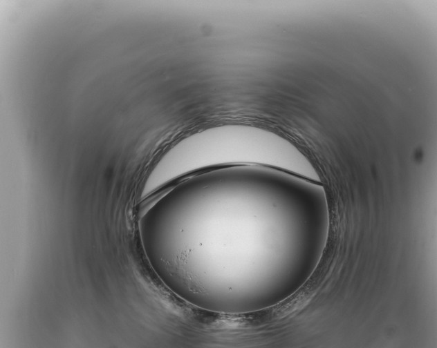 X0000089370280200706221228