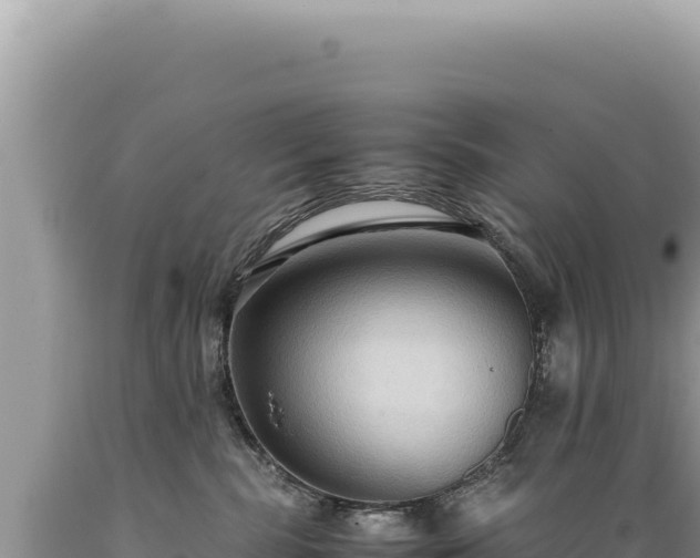 X0000089370283200706221228