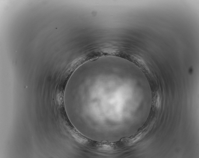 X0000089370285200706221228