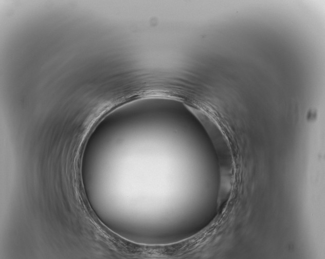 X0000089370289200706221227