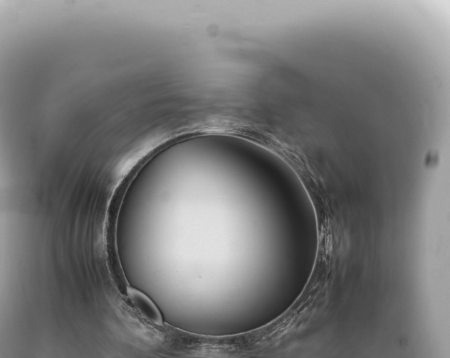 X0000089370292200706221227