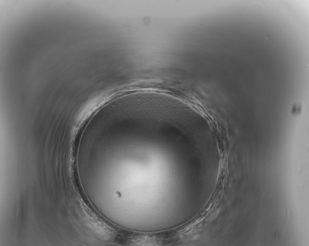 X0000089370293200706221227