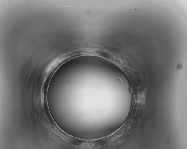 X0000089370294200706221227