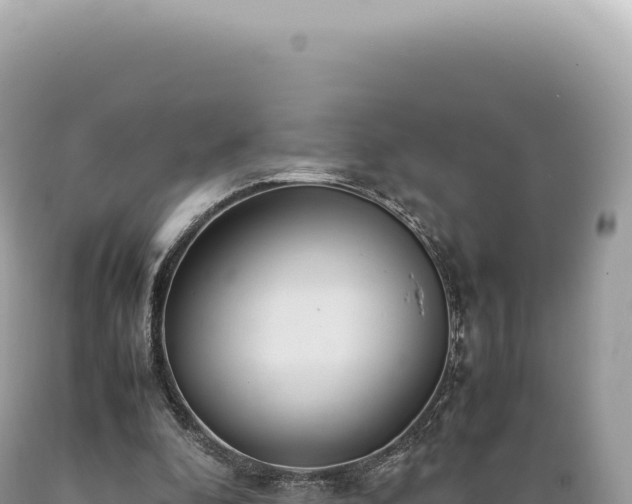 X0000089370296200706221227