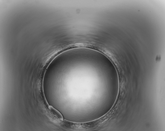 X0000089370297200706221227