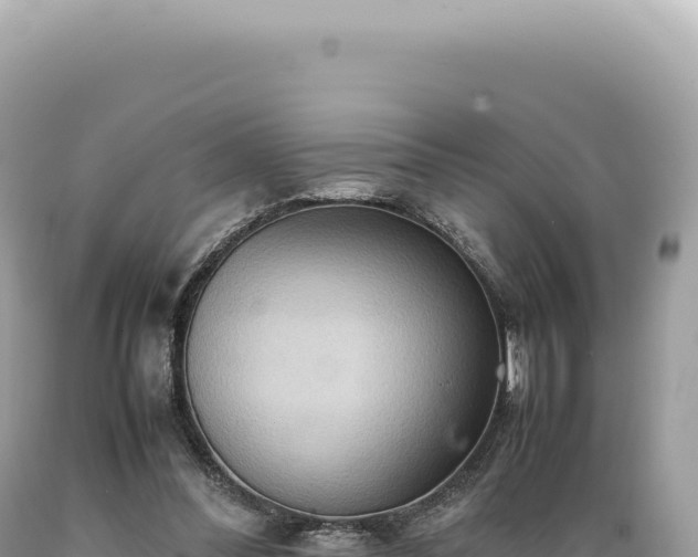 X0000089370300200706221227