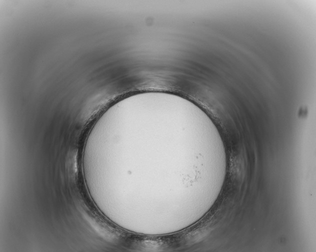 X0000089370302200706221227
