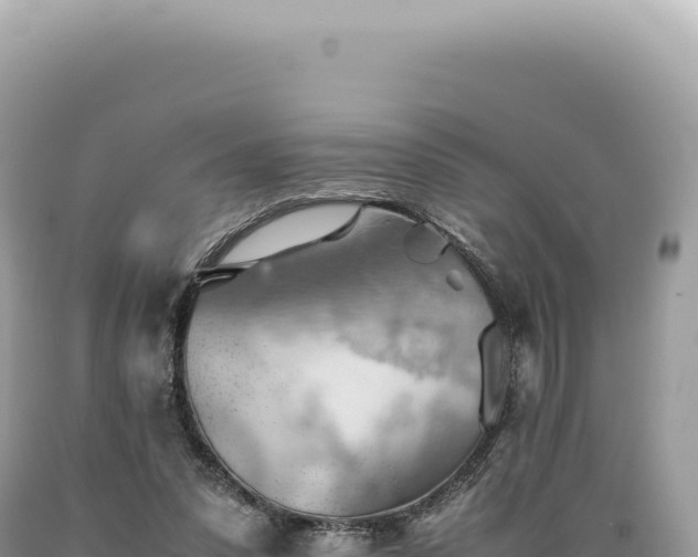 X0000089370303200706221227