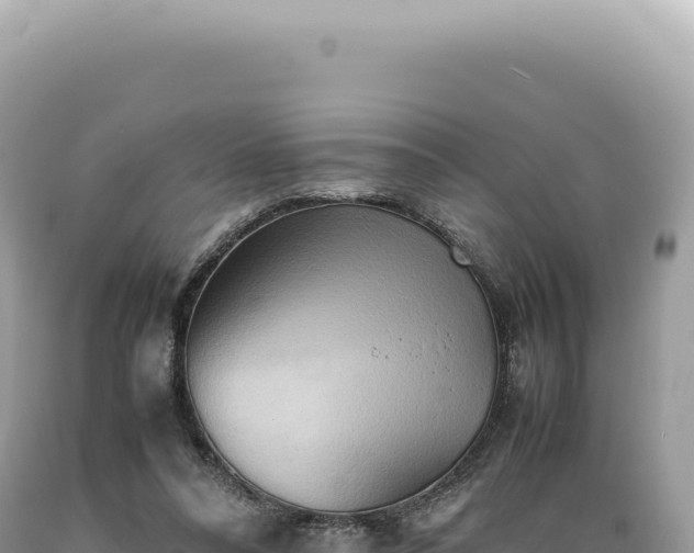 X0000089370304200706221227