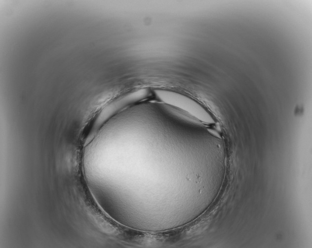 X0000089370305200706221227