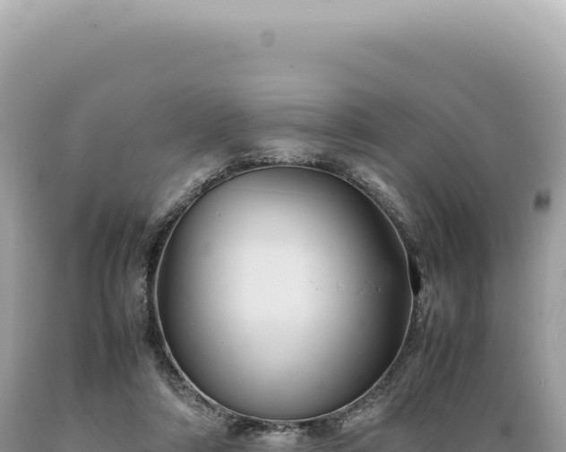 X0000089370306200706221227