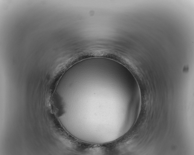 X0000089370307200706221227