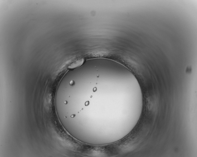 X0000089370308200706221227