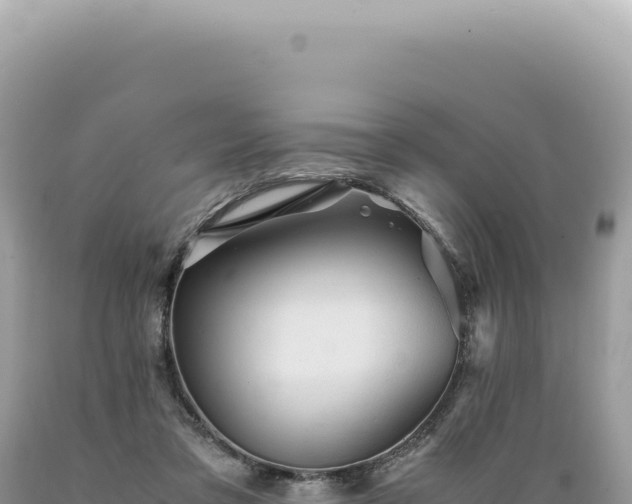X0000089370309200706221227