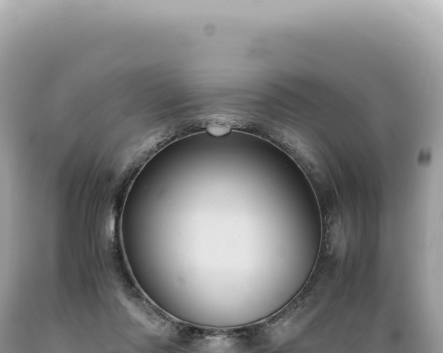 X0000089370310200706221227