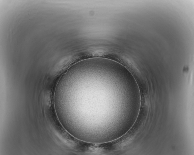 X0000089370311200706221227