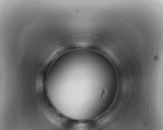 X0000089370312200706221227