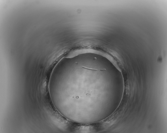 X0000089370314200706221227