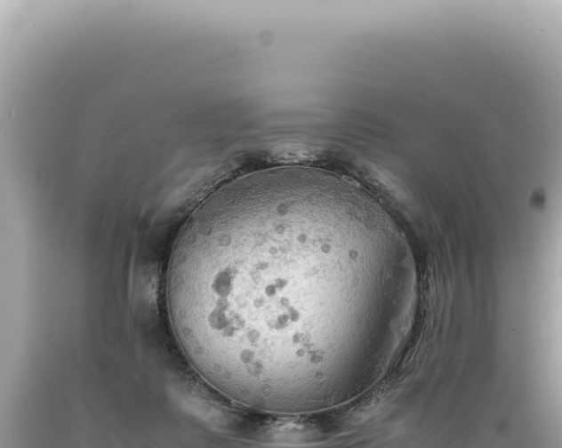 X0000089370315200706221227