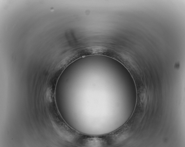 X0000089370316200706221227