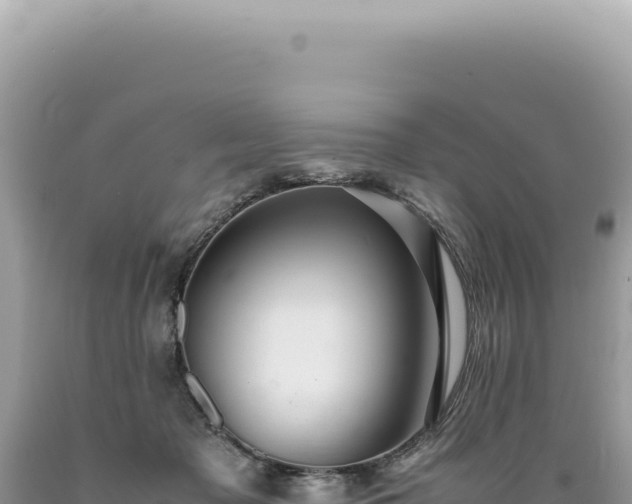 X0000089370317200706221227