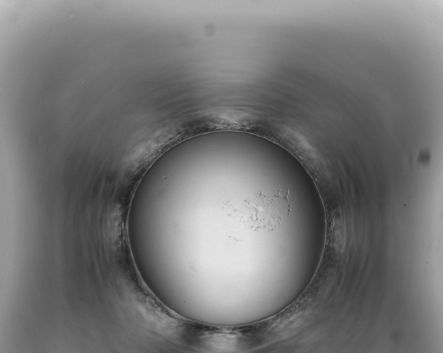 X0000089370318200706221227