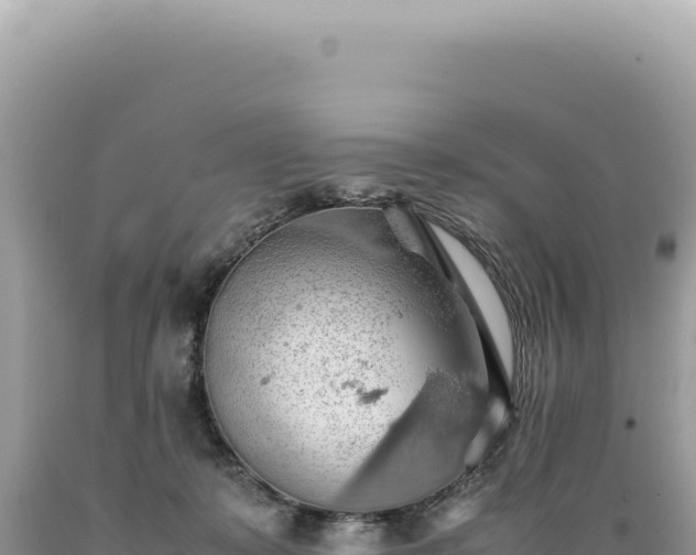 X0000089370319200706221227
