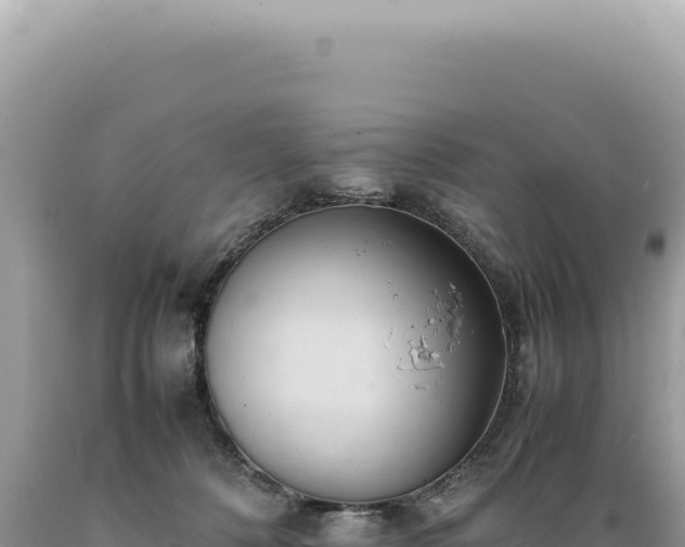 X0000089370320200706221227