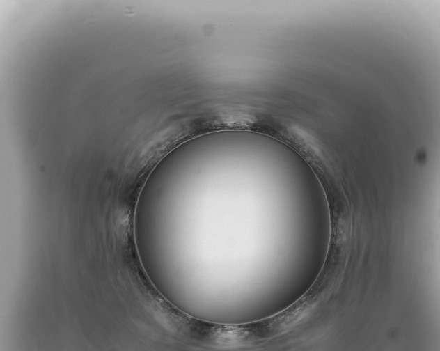 X0000089370321200706221226