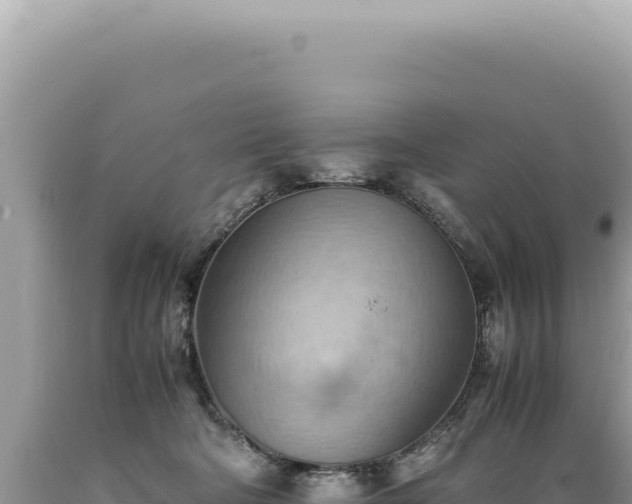 X0000089370322200706221226