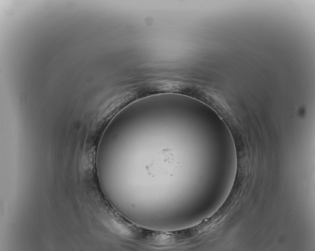 X0000089370325200706221226
