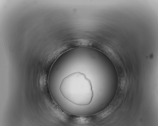X0000089370326200706221226