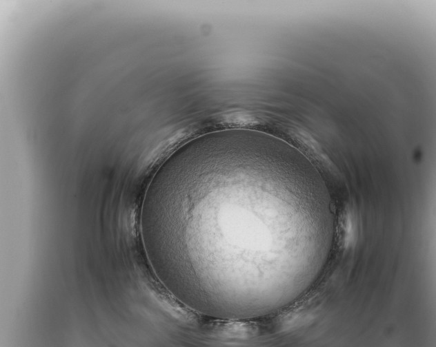 X0000089370330200706221226