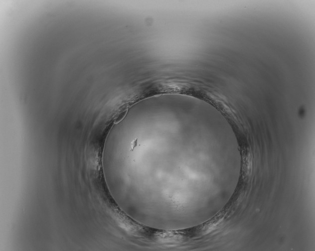 X0000089370331200706221226
