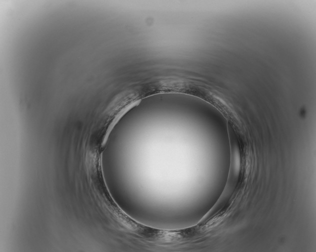 X0000089370333200706221226
