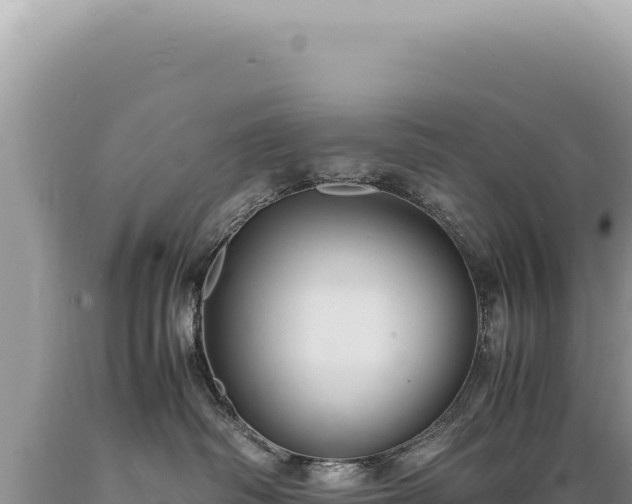 X0000089370334200706221226