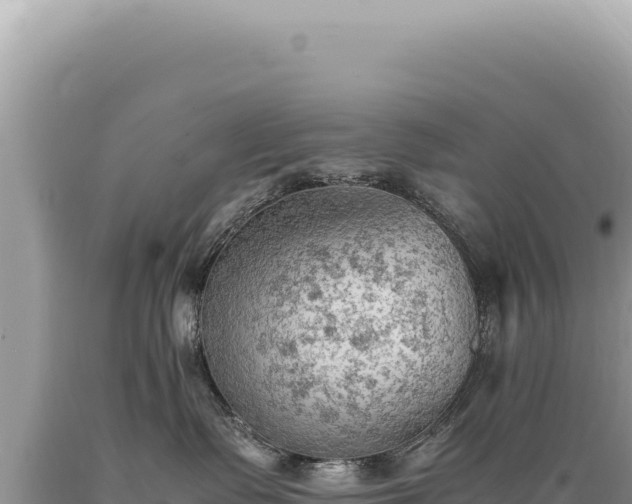 X0000089370335200706221226