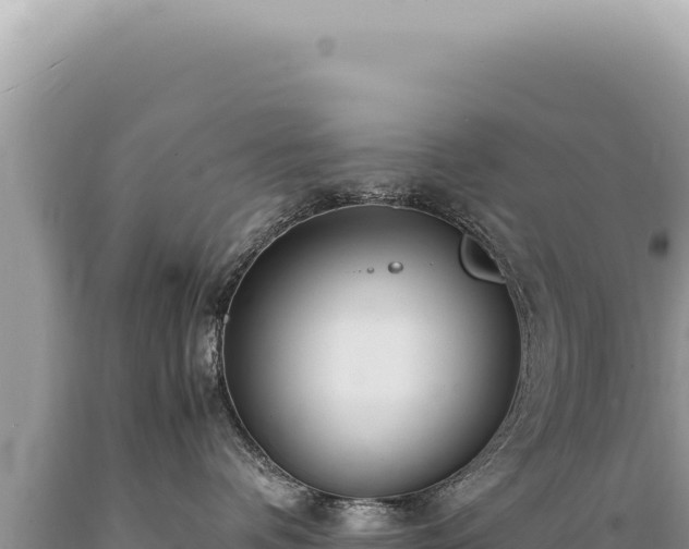 X0000089370336200706221226